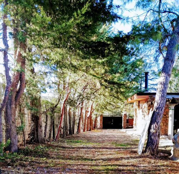 La Cabana De Piedra รุยเดรา ภายนอก รูปภาพ